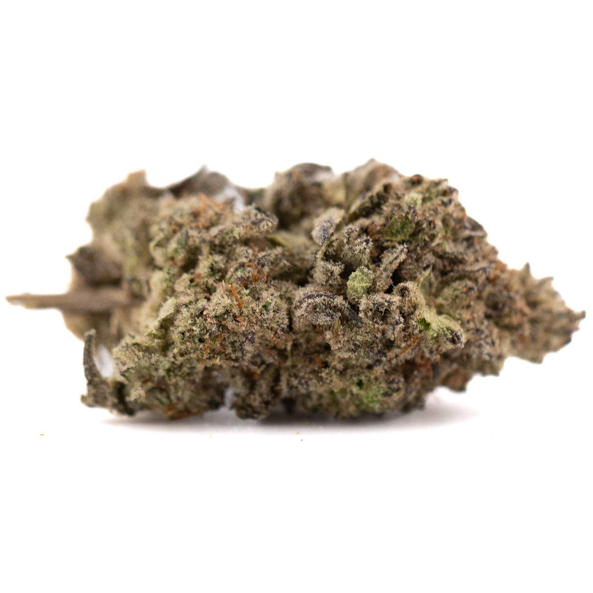 Dough Boy THCa Hemp Flower Greenhouse