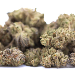 Dough Boy THCa Hemp Flower Greenhouse Smalls