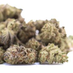Dough Boy THCa Hemp Flower Greenhouse Smalls