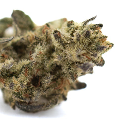 Dough Boy THCa Hemp Flower Greenhouse Smalls
