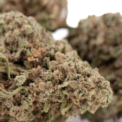 Durban Poison THCa Flower Full-Term