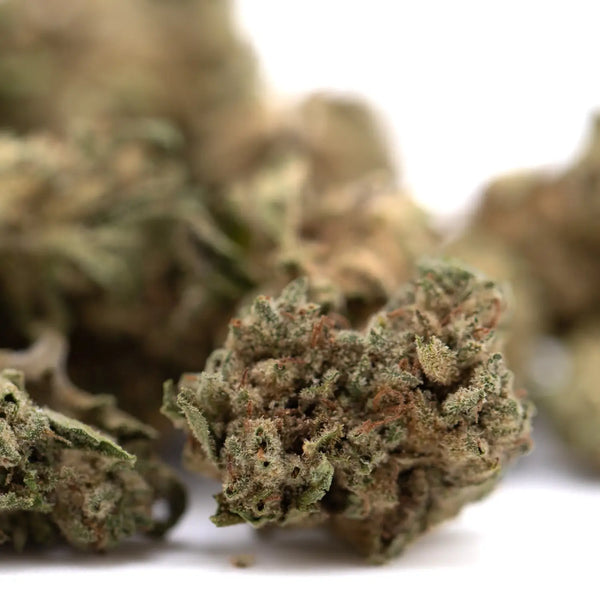 Durban Poison vs Face Fat THCA