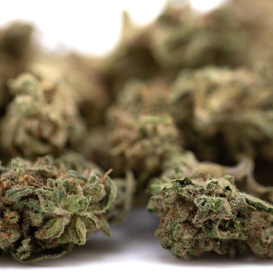 Durban Poison THCa Flower Smalls Full-Term