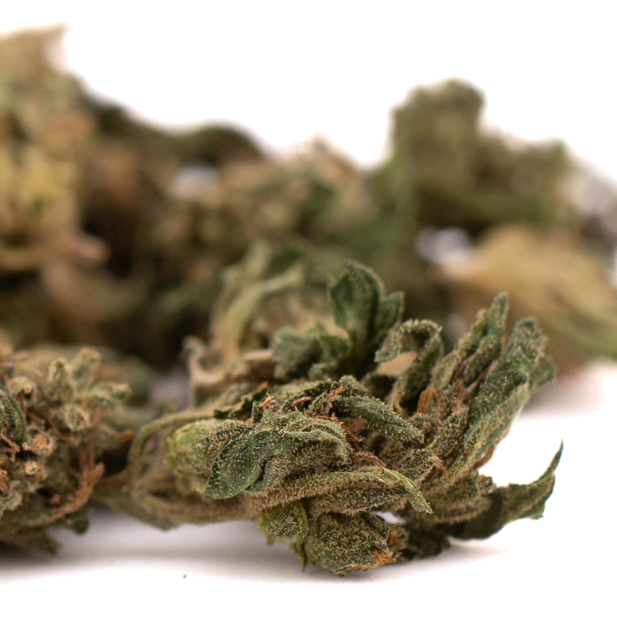 Sprayed Flower THCA Indoor Flower - Indoor THCa Flower - Oregon Hemp Flower