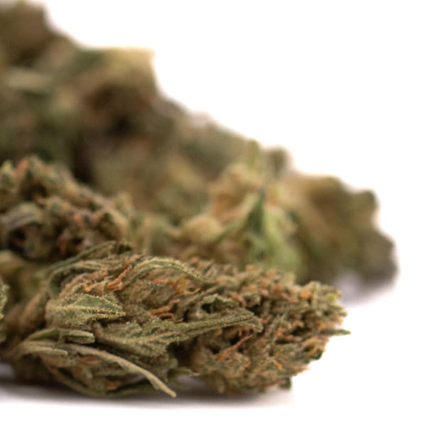 CBD Flower vs CBD Oil