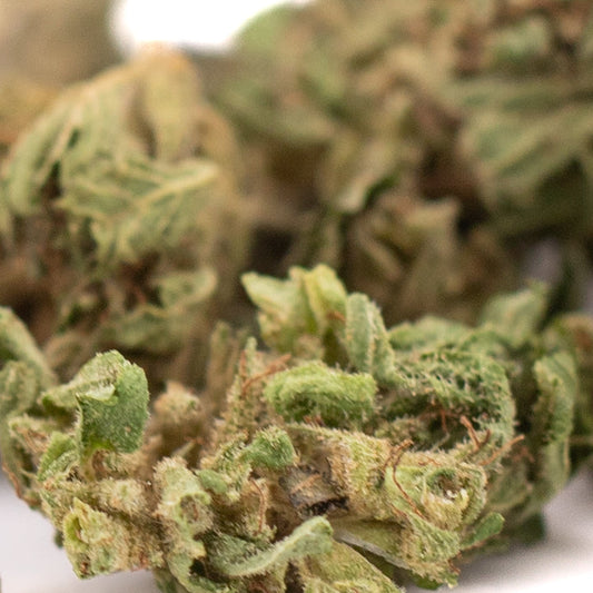 Early Nueve CBD Hemp Flower Full-Term Smalls Wholesale