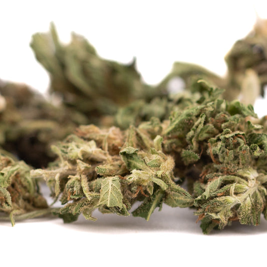 Early Trump CBD Hemp Flower Full-Term Smalls Wholesale