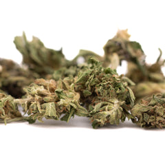 Early Trump CBD Hemp Flower Full-Term Smalls