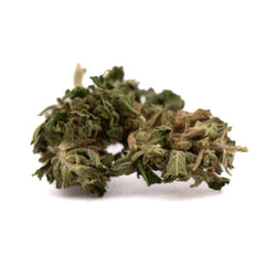 Early Trump CBD Hemp Flower Full-Term Smalls