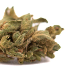 Early Wu CBD Hemp Flower Full-Term Smalls
