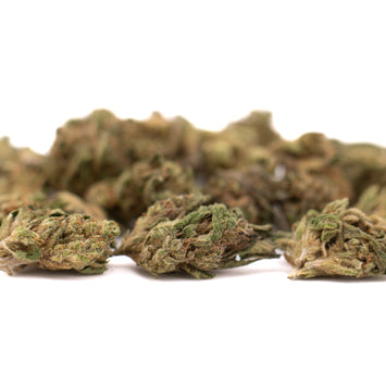 THCA Indoor Flower - Indoor THCa Flower - Oregon Hemp Flower