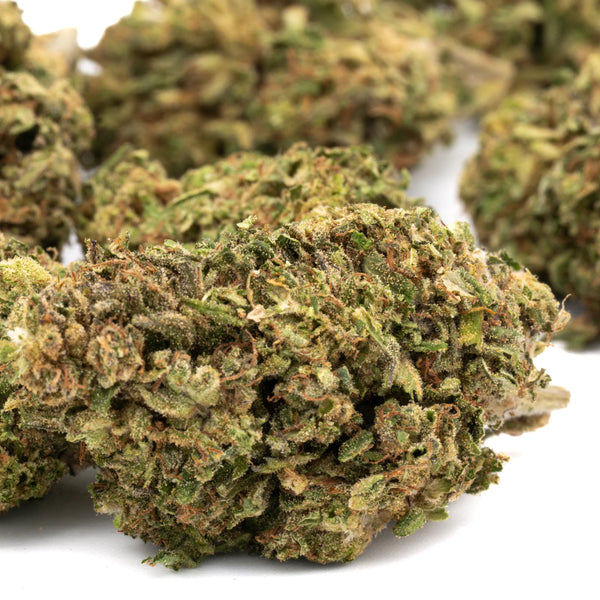 Hawaiian Haze vs Elektra