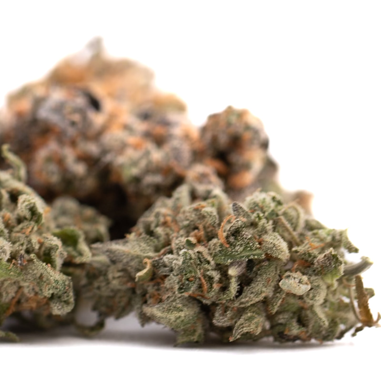Event Horizon Indoor THCa Flower - Plants