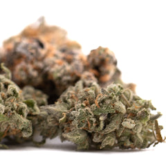 Event Horizon Indoor THCa Flower - Plants