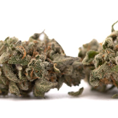 Event Horizon Indoor THCa Flower - Plants