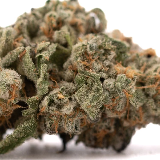Event Horizon Indoor THCa Flower - Plants