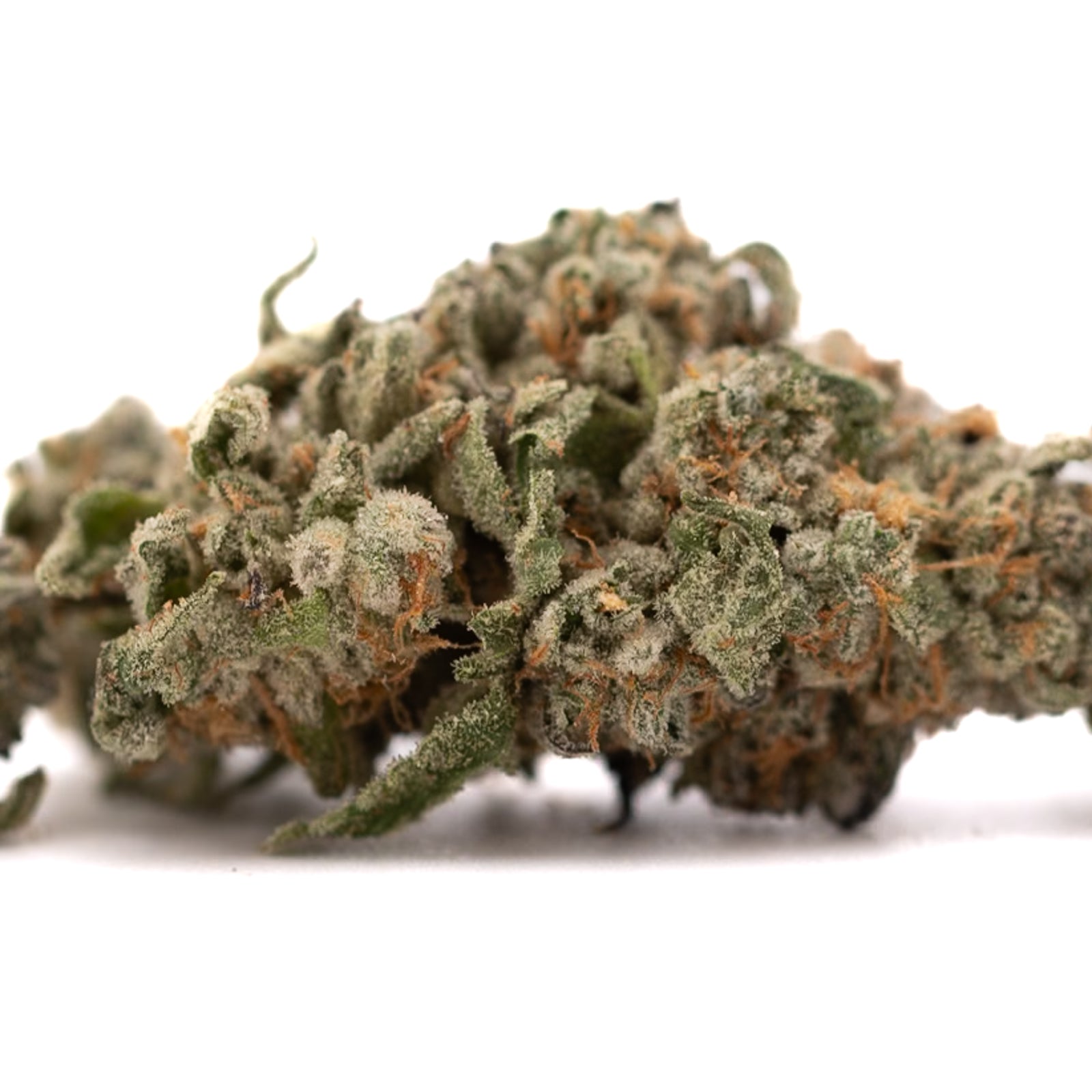 Event Horizon Indoor THCa Flower - Plants