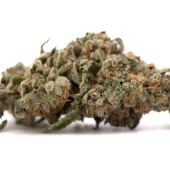 Event Horizon Indoor THCa Flower - Plants