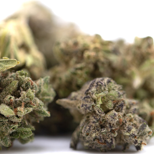 Fog Dog THCa Flower Smalls Full-Term