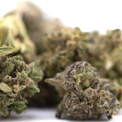 Fog Dog THCa Flower Smalls Full-Term