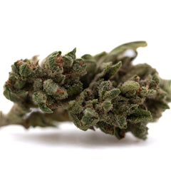 Fog Dog THCa Flower Smalls Full-Term