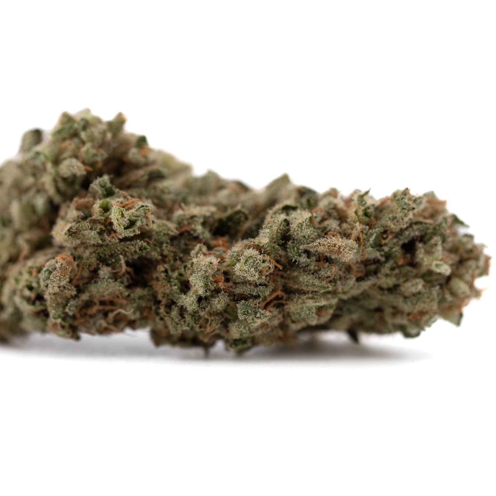 Fog Dog THCa Flower Full-Term