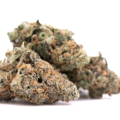 Fornicate Indoor THCa Flower