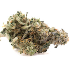 Fornicate Indoor THCa Flower