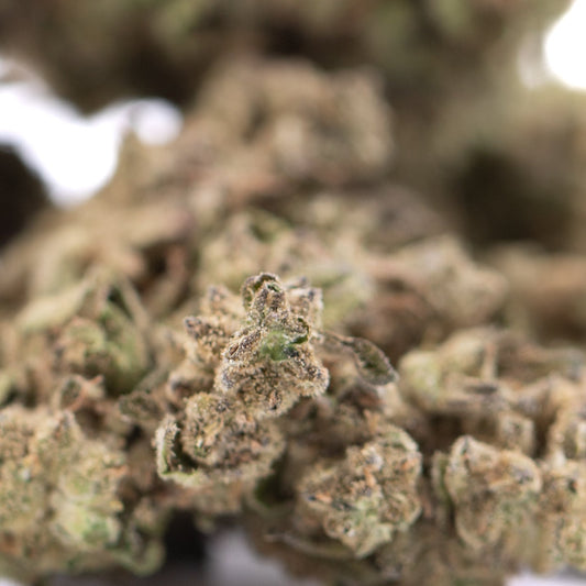 Fornicator THCa Hemp Flower Greenhouse Wholesale