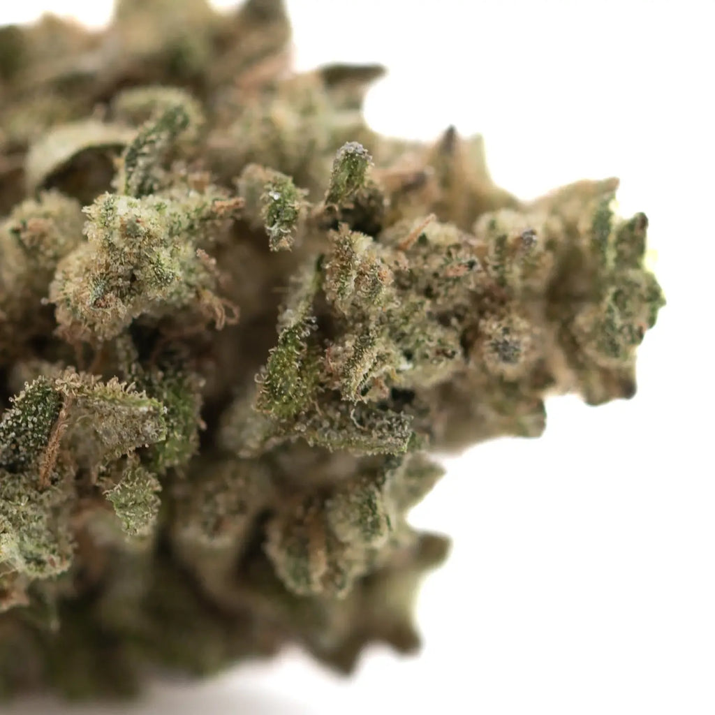 Lab Results Breakdown