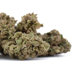 Froot by the Foot THCa Flower Full-Term