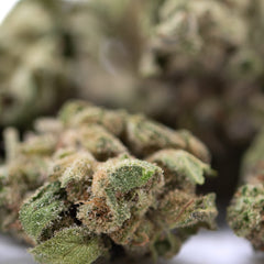 Froot by the Foot THCa Flower Smalls Full-Term