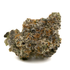 Frosted Runtz Indoor THCa Flower - Plants