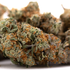 Frosted Flakes Indoor THCa Flower - Plants
