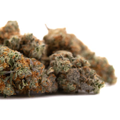 Frosted Flakes Indoor THCa Flower - Plants