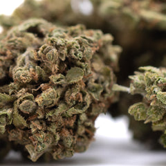 Glue CBD Hemp Flower Full-Term