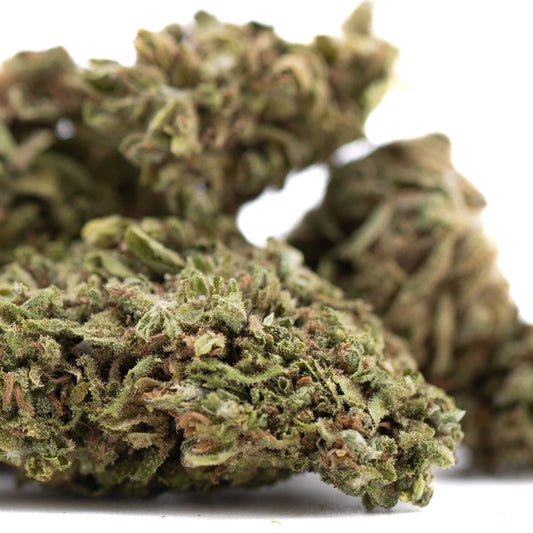 Glue CBD Hemp Flower Full-Term Wholesale