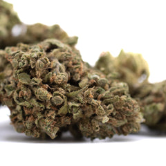 Glue CBD Hemp Flower Full-Term