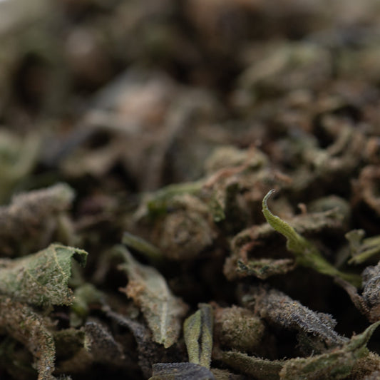 GMO Full-Term THCa Trim Wholesale