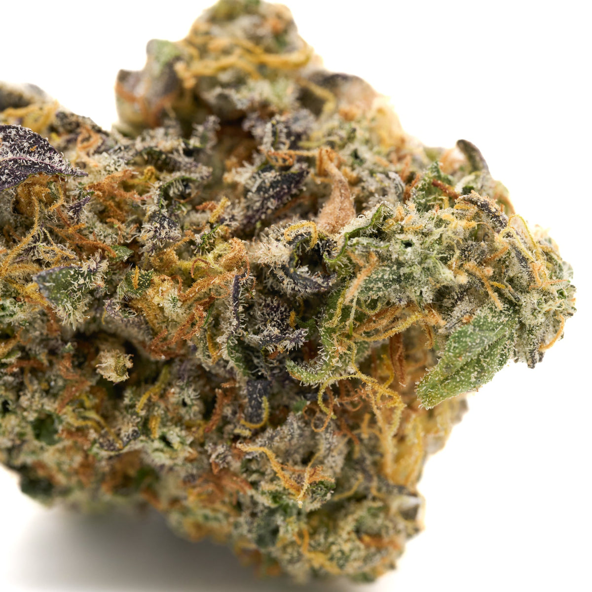 GMO Indoor THCa Flower - Plants