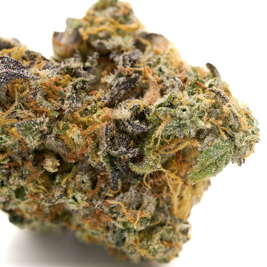 GMO Indoor THCa Flower - Plants