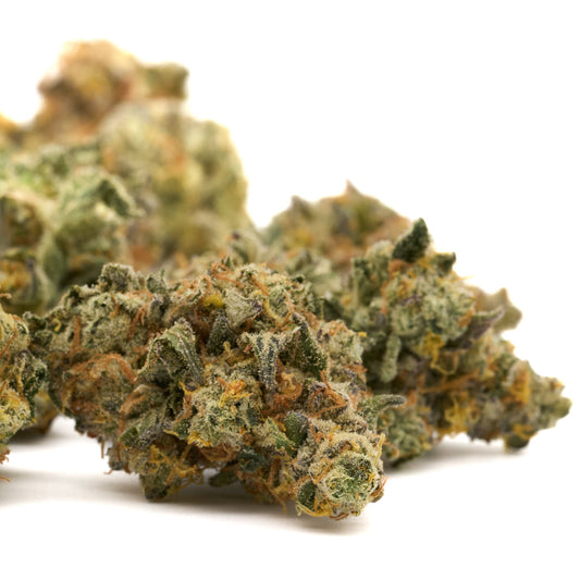 GMO Indoor THCa Flower - Plants