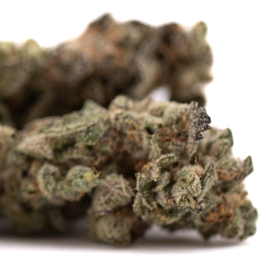Garlic OG Indoor THCa Flower Wholesale - Plants