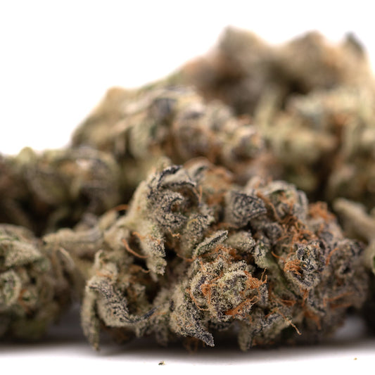 Garlic OG Indoor THCa Flower Wholesale - Plants