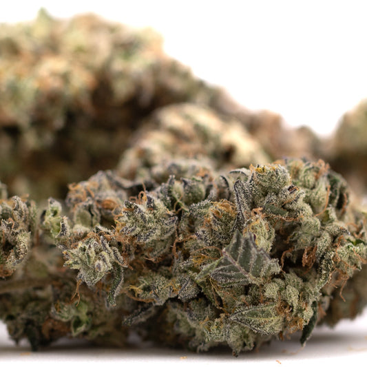 Gary Payton Indoor THCa Flower Wholesale - Plants