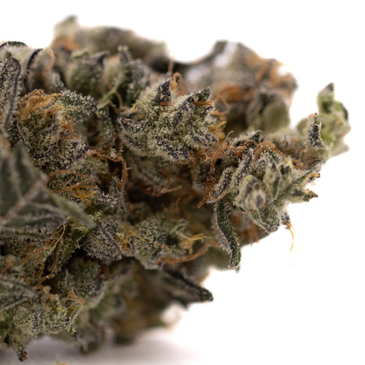 Gary Payton Indoor THCa Flower Wholesale - Plants