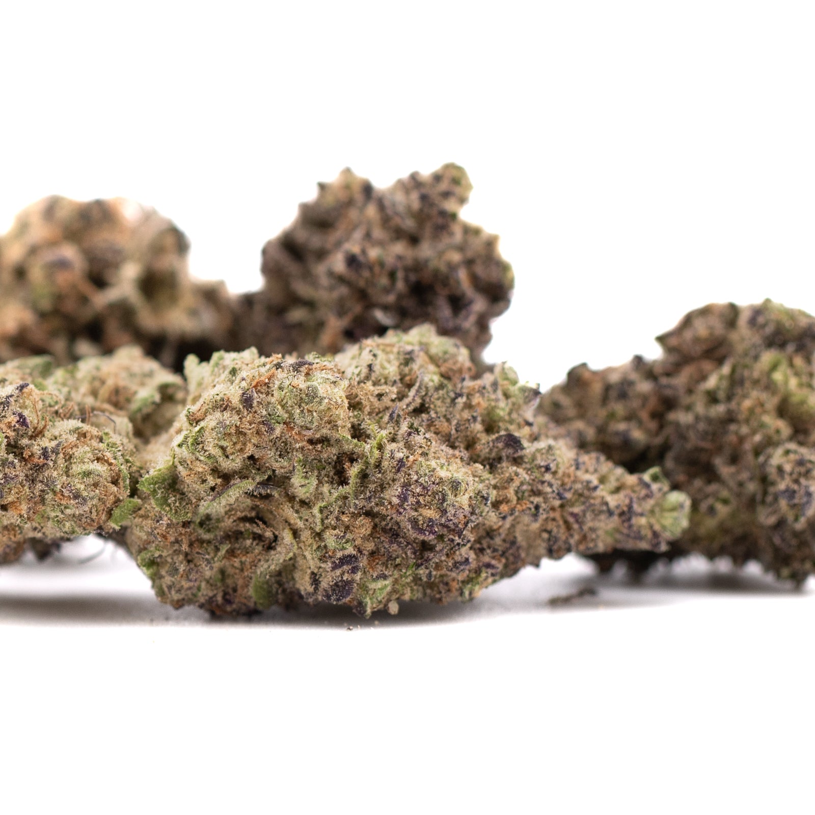 Gas Monkey THCa Hemp Flower Greenhouse - Plants
