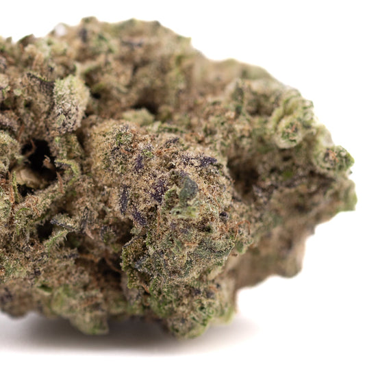 Gas Monkey THCa Hemp Flower Greenhouse - Plants