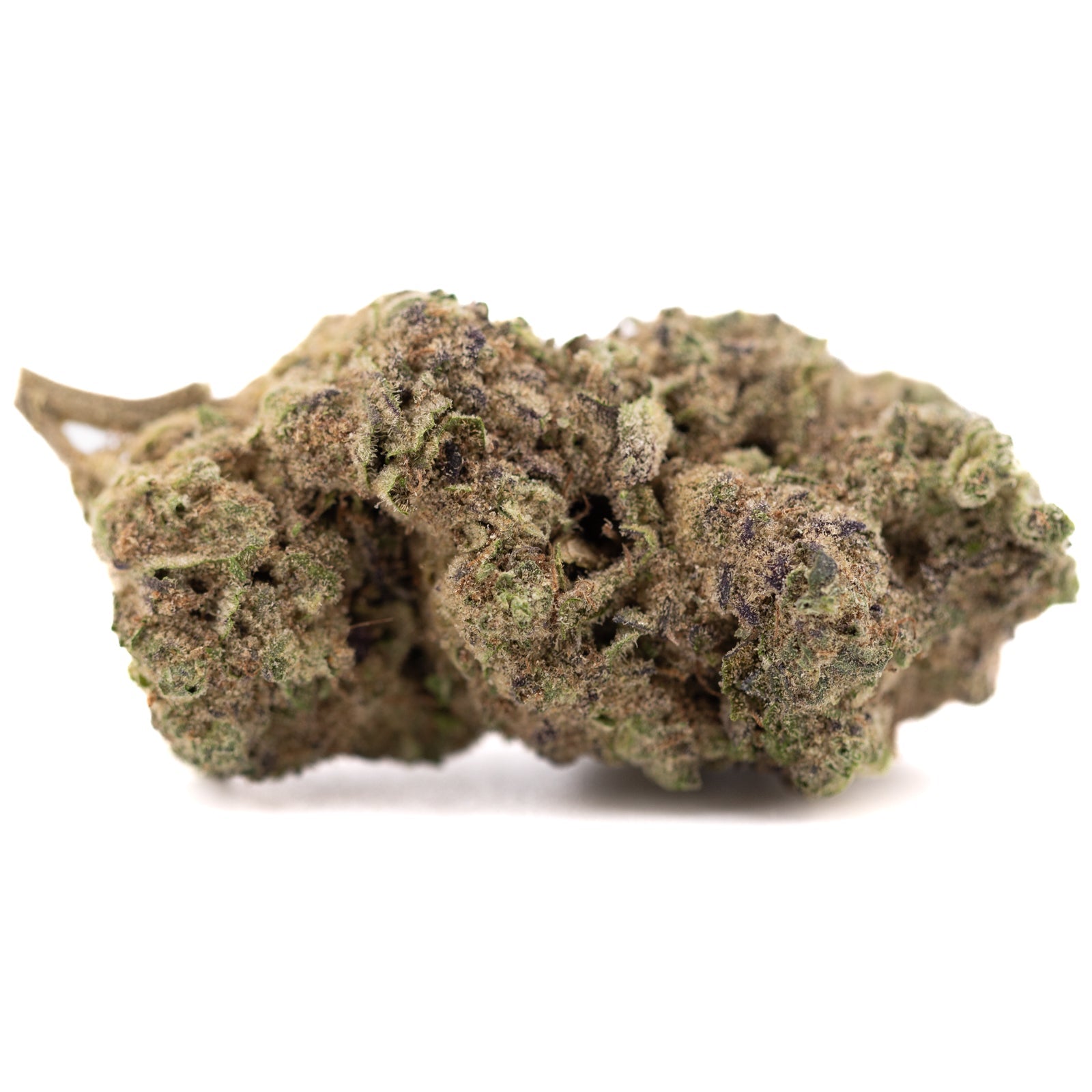 Gas Monkey THCa Hemp Flower Greenhouse - Plants