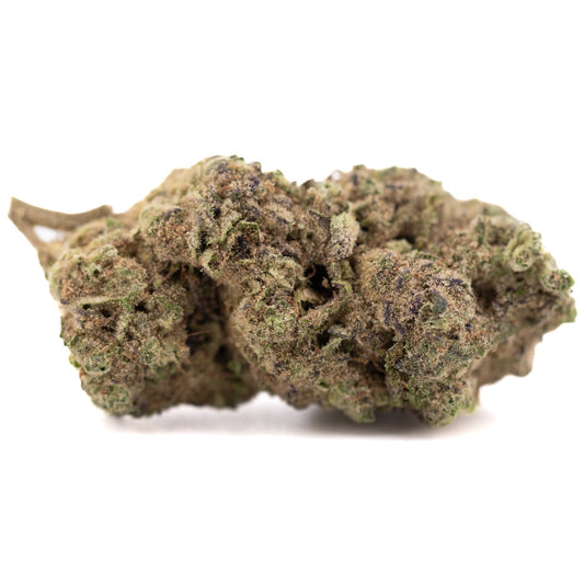Gas Monkey THCa Hemp Flower Greenhouse - Plants